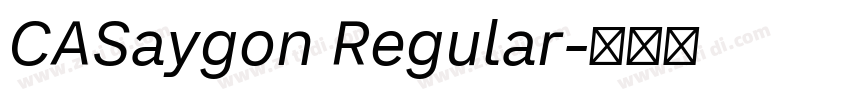 CASaygon Regular字体转换